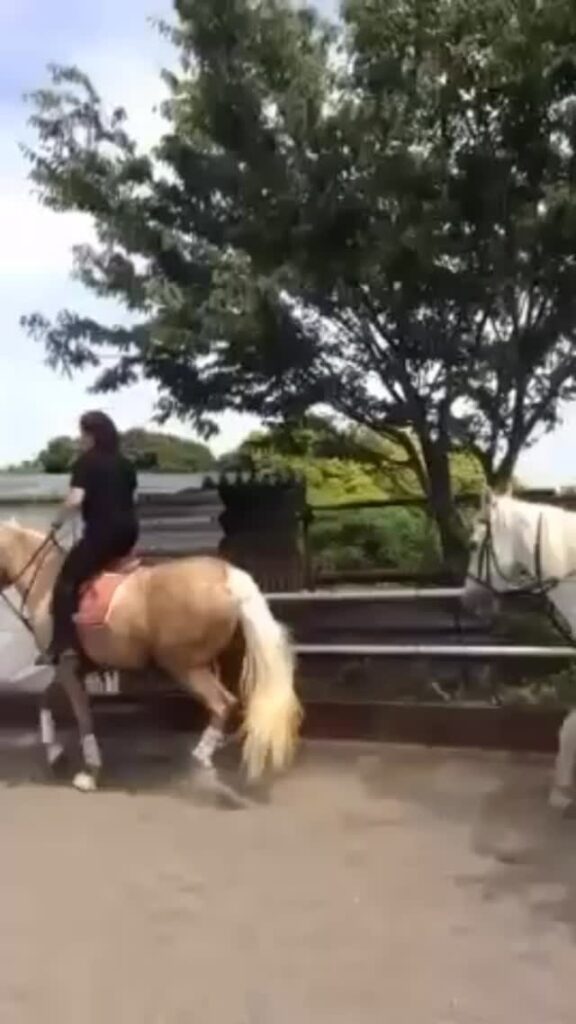 谷川 寛人 @future.tanny – 22:58・2025年12月17日