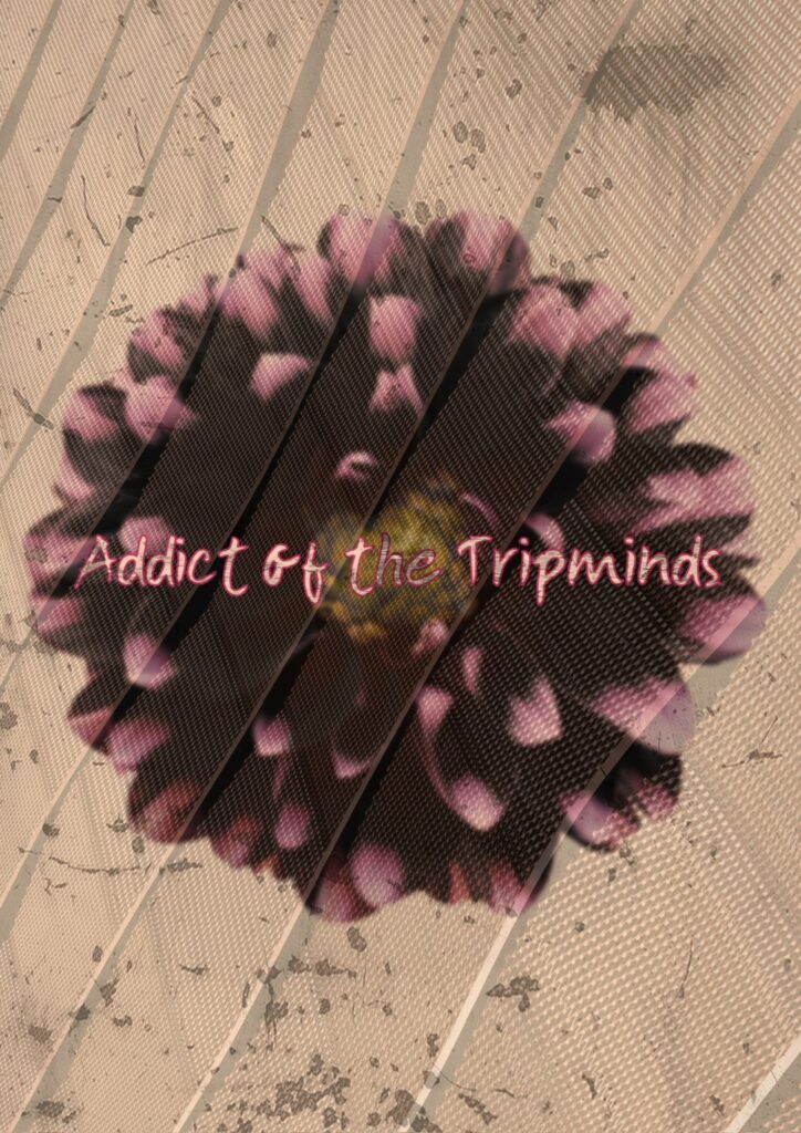 ADDICT OF THE TRIP MINDS, 岡本健一