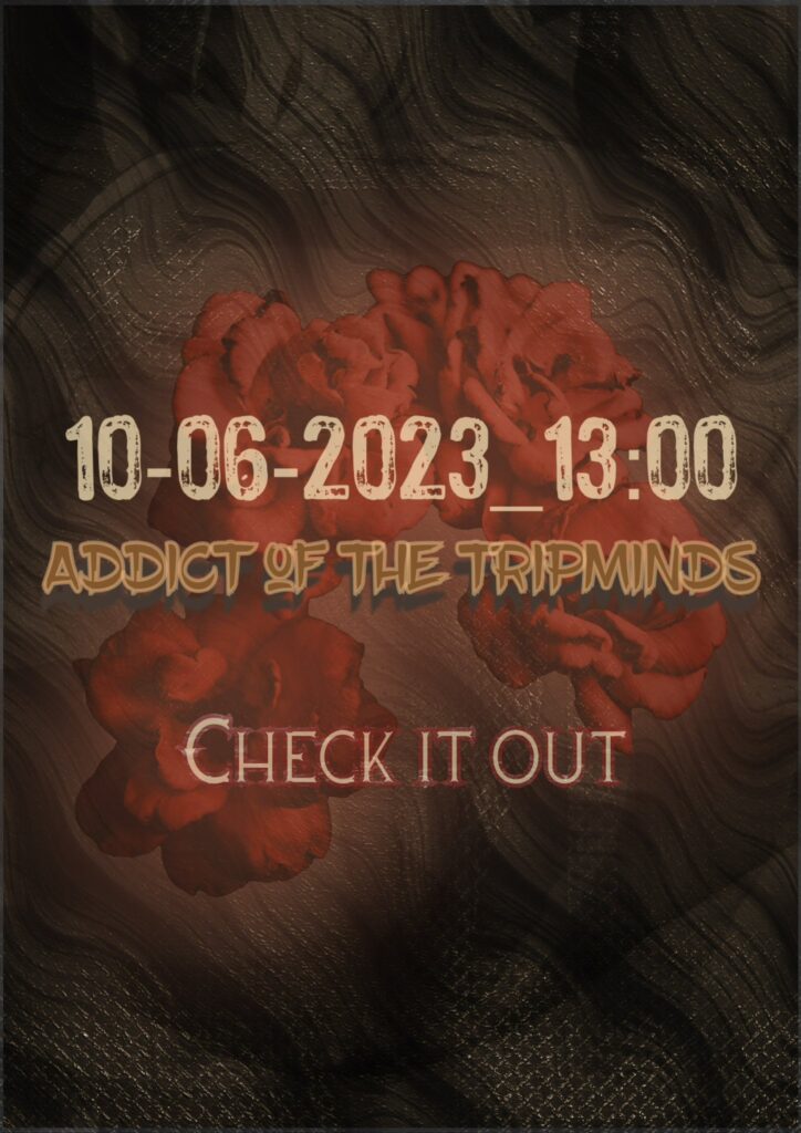 ADDICT OF THE TRIP MINDS, 岡本健一