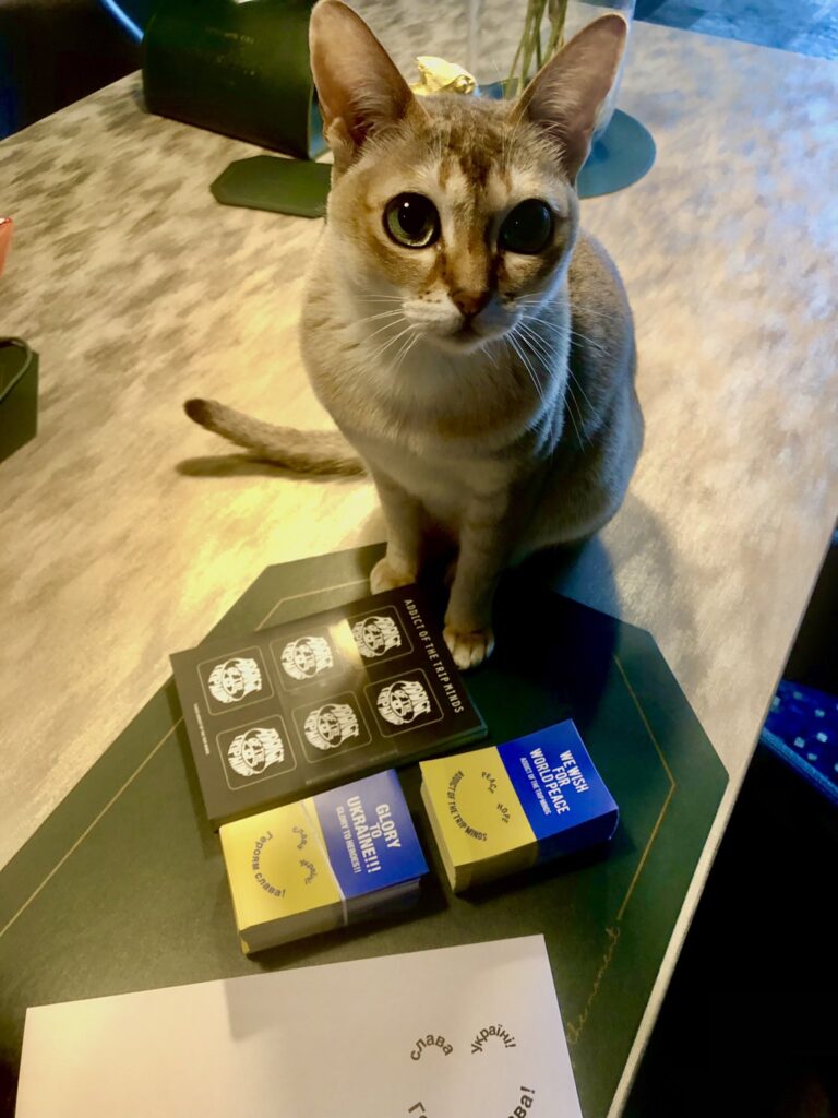 ADDICT OF THE TRIP MINDS, 岡本健一