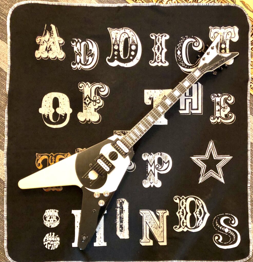 ADDICT OF THE TRIP MINDS, 岡本健一