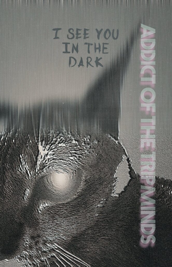 ADDICT OF THE TRIP MINDS, 岡本健一