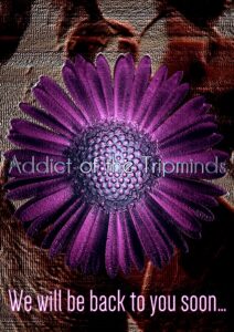 ADDICT OF THE TRIP MINDS, 岡本健一