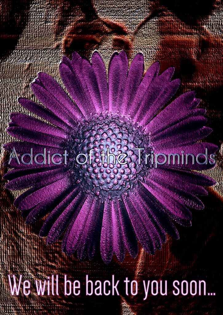 ADDICT OF THE TRIP MINDS, 岡本健一