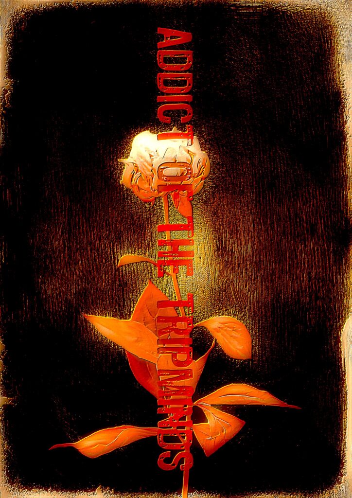 ADDICT OF THE TRIP MINDS, 岡本健一