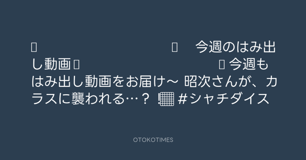 🎬 SHACHIHOKO PARADISE @ZIP_SHACHI_DISE – 20:08・2025年5月18日